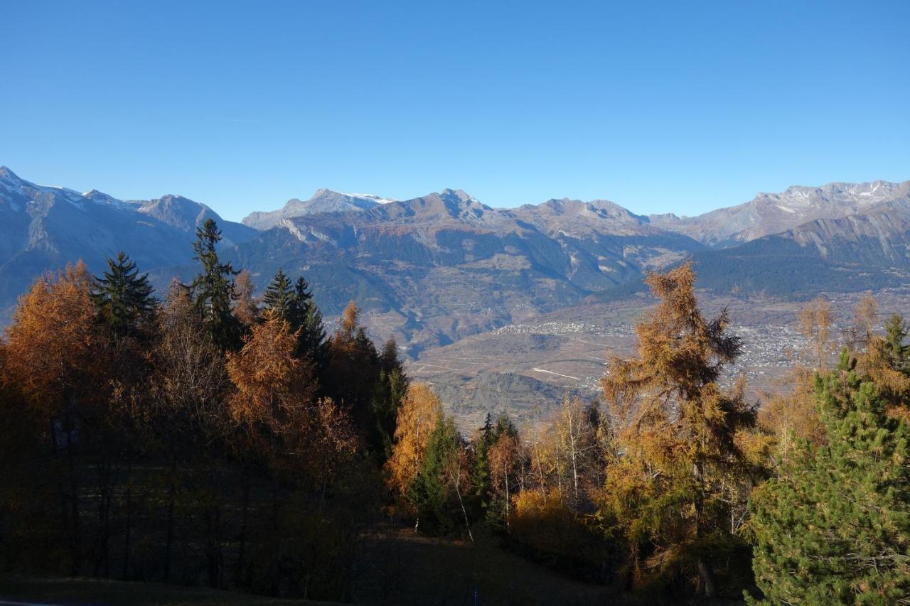 Mayens de l'Ours MOUNTAIN&CENTER apartments by Alpvision Résidences Agettes Esterno foto