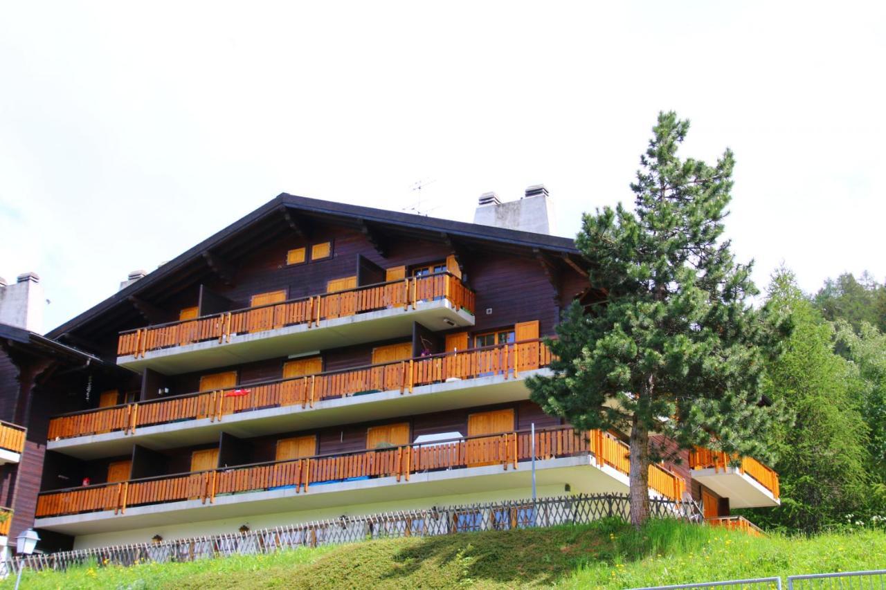 Mayens de l'Ours MOUNTAIN&CENTER apartments by Alpvision Résidences Agettes Esterno foto